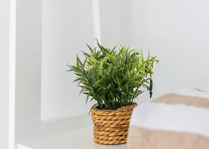 Spacious Mank3 - New 2026 - Spalato